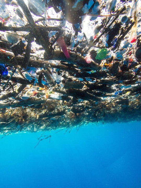 В Карибском море обнаружили остров из пластикового мусора