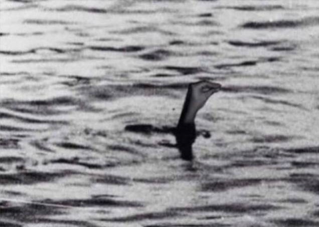 О том, как некоторые представляют себе итальянцев