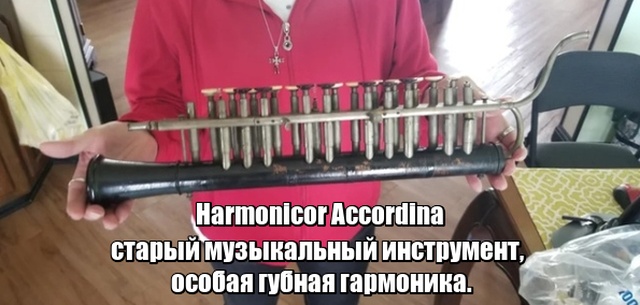 Интересные и необычные вещи