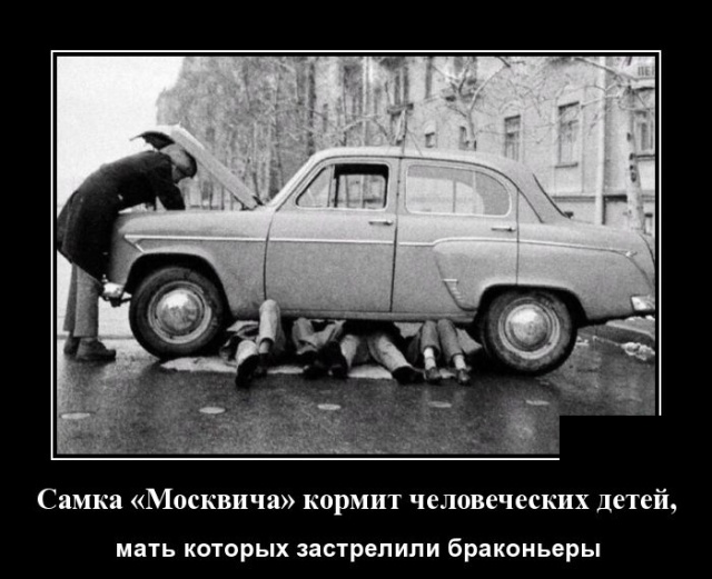 Демотиваторы