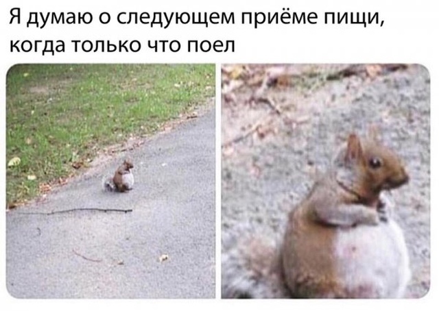 Юмор без смысловой нагрузки