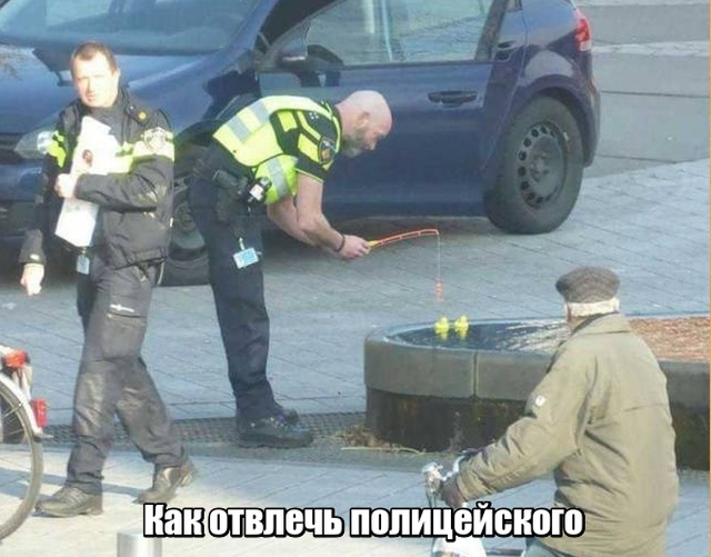 Прикольные картинки