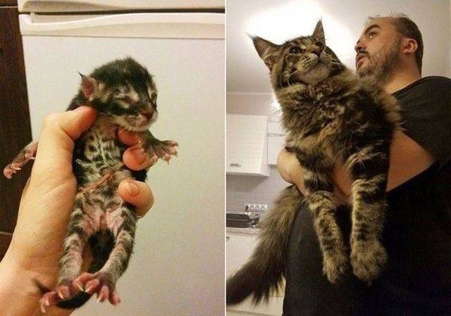 Прикольные картинки