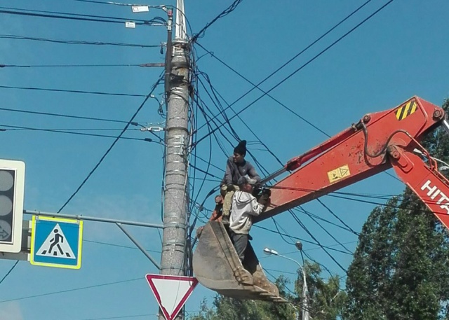 Прикольные картинки