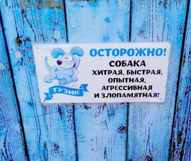 Перлы от людей с чувством юмора