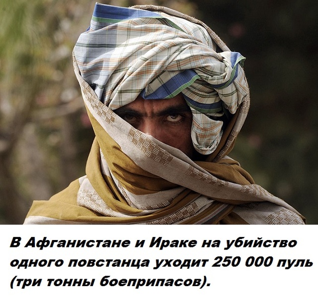 Факты обо всем на свете