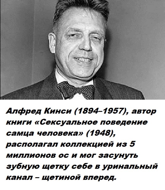 Факты обо всем на свете