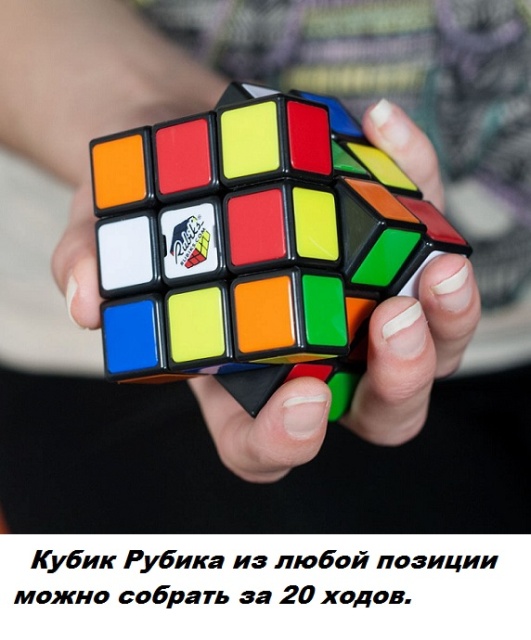 Факты обо всем на свете