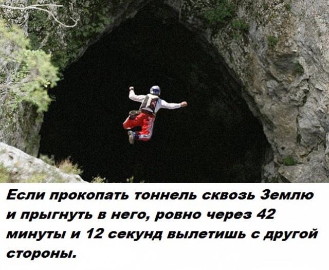 Факты обо всем на свете