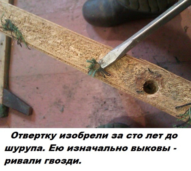 Факты обо всем на свете