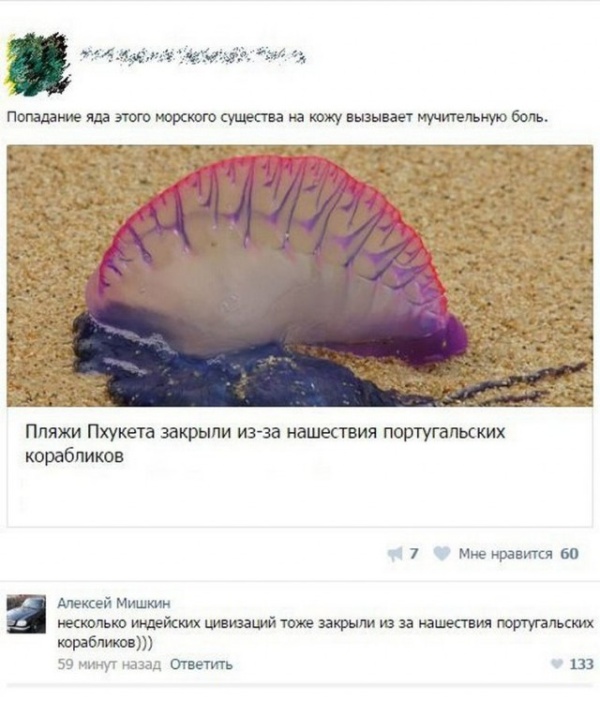 Забавные комментарии и высказывания из соцсетей