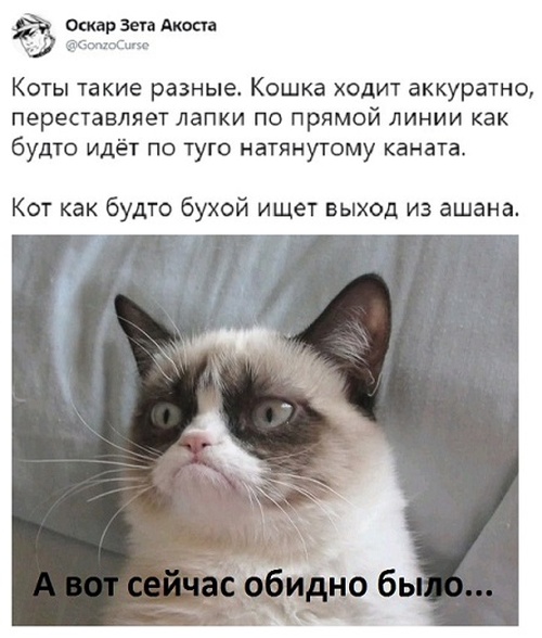 Забавные комментарии и высказывания из соцсетей