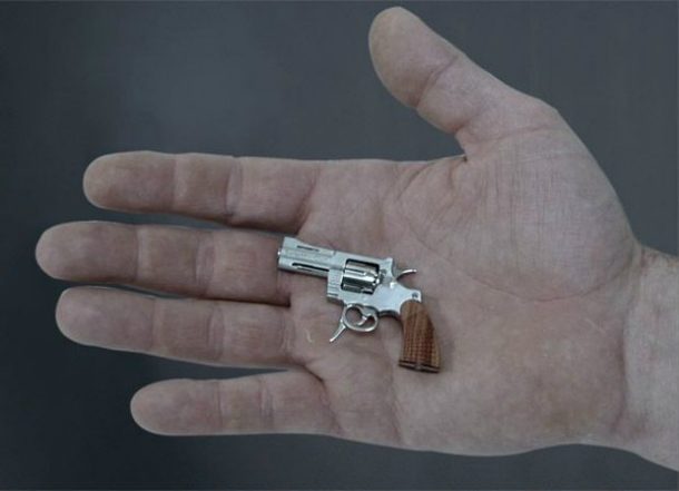 Микромир: самые маленькие вещи и живые существа