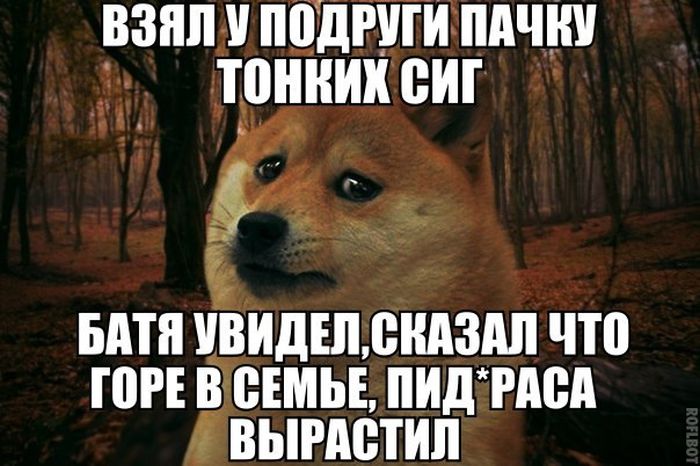 Прикольные картинки (72 фото)