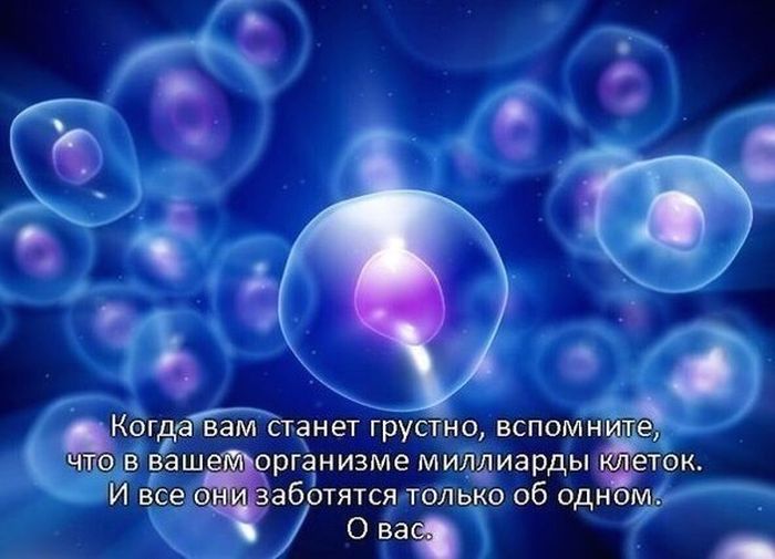 Прикольные картинки (72 фото)
