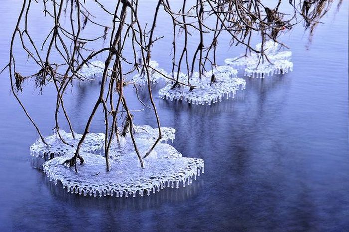 Прикольные картинки (72 фото)