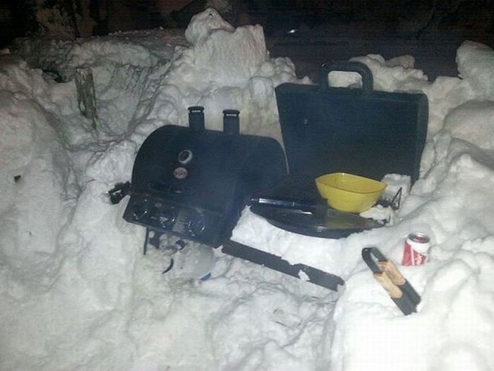 Прикольные картинки (72 фото)