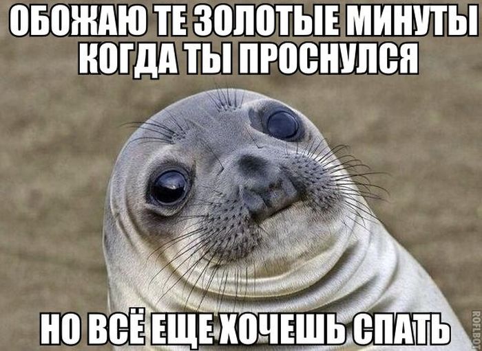 Прикольные картинки (72 фото)