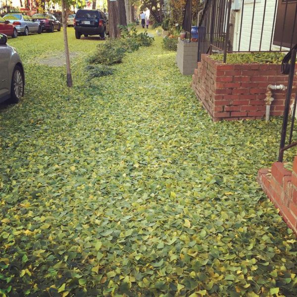 Прикольные картинки (72 фото)