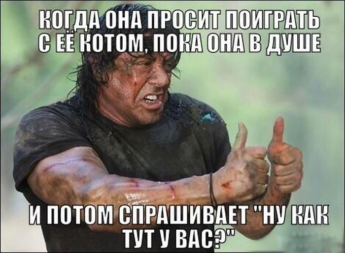 Прикольные картинки (72 фото)