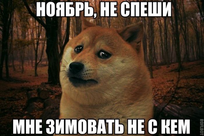 Прикольные картинки (72 фото)