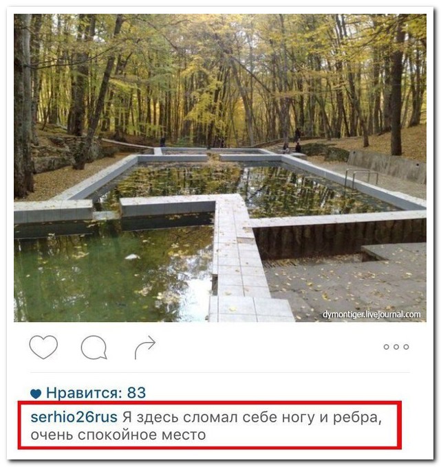 Смешные комментарии из социальных сетей
