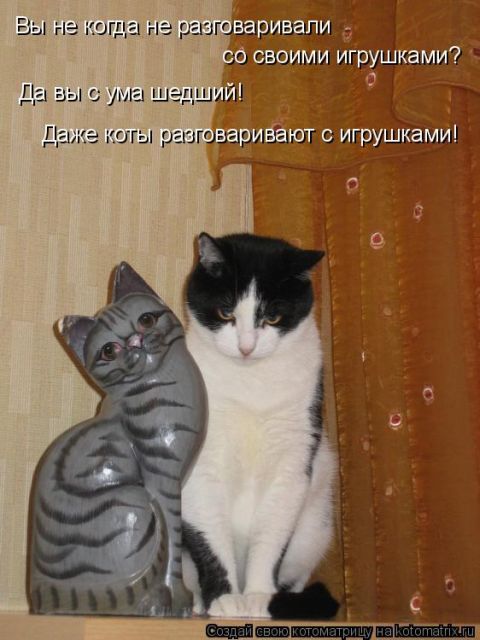 Лучшие котоматрицы недели