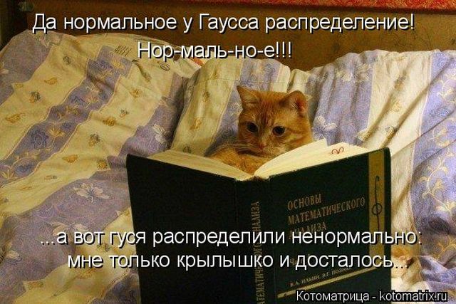 Лучшие котоматрицы недели