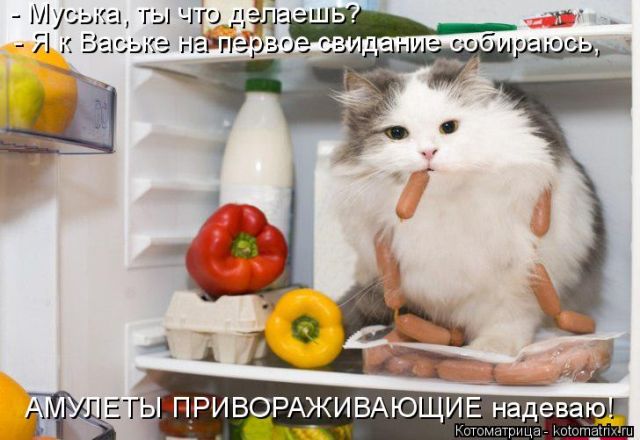 Лучшие котоматрицы недели