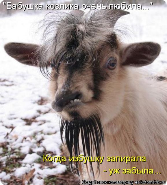 Лучшие котоматрицы недели