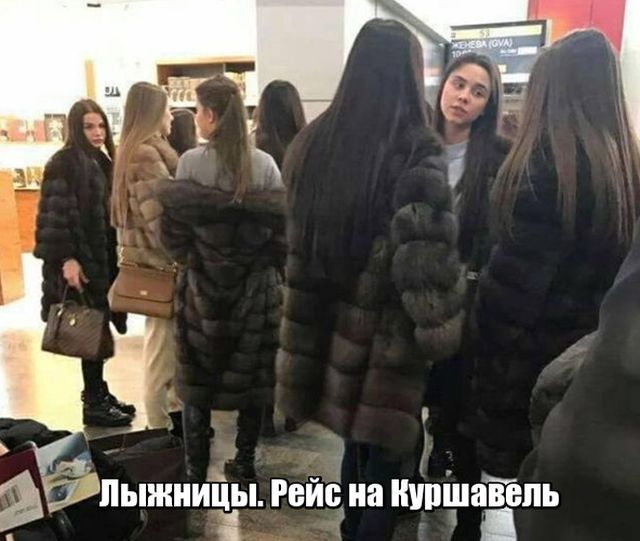 Прикольные картинки