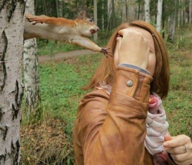Прикольные картинки