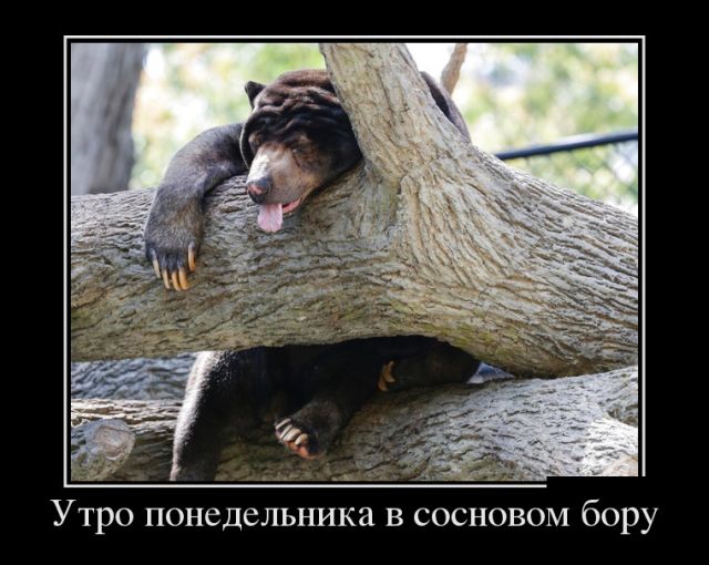 Демотиваторы