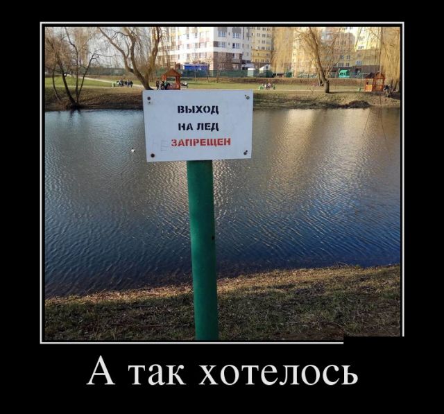 Демотиваторы