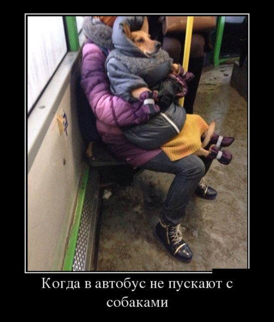 Демотиваторы