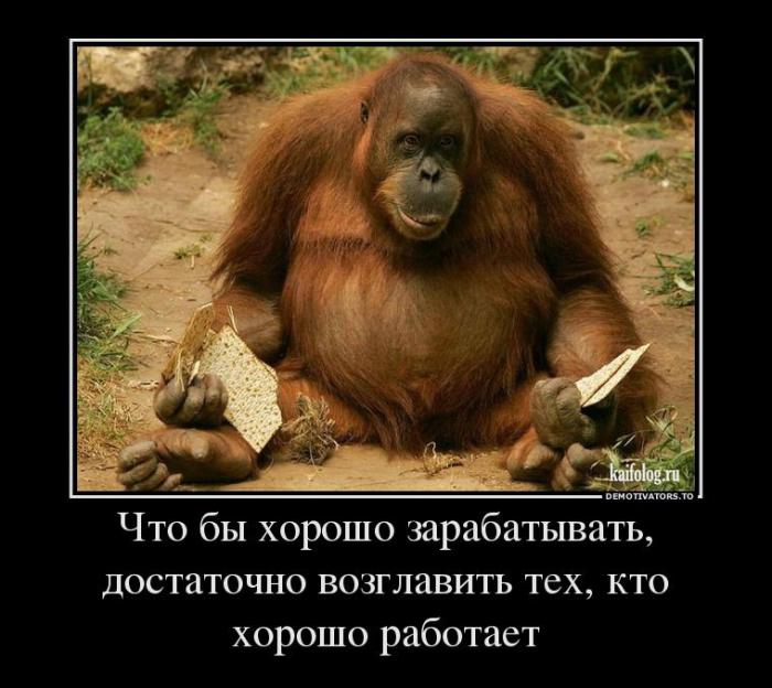 Демотиваторы