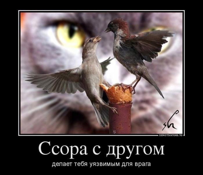 Демотиваторы