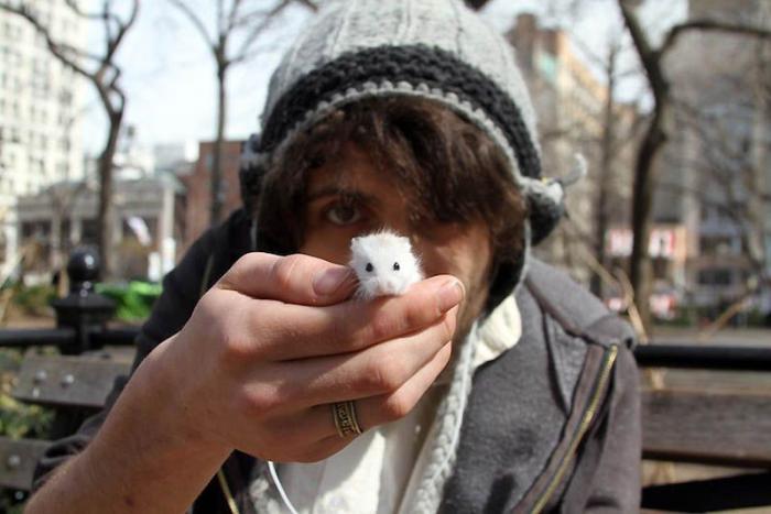 Прикольные жители Нью-Йорка