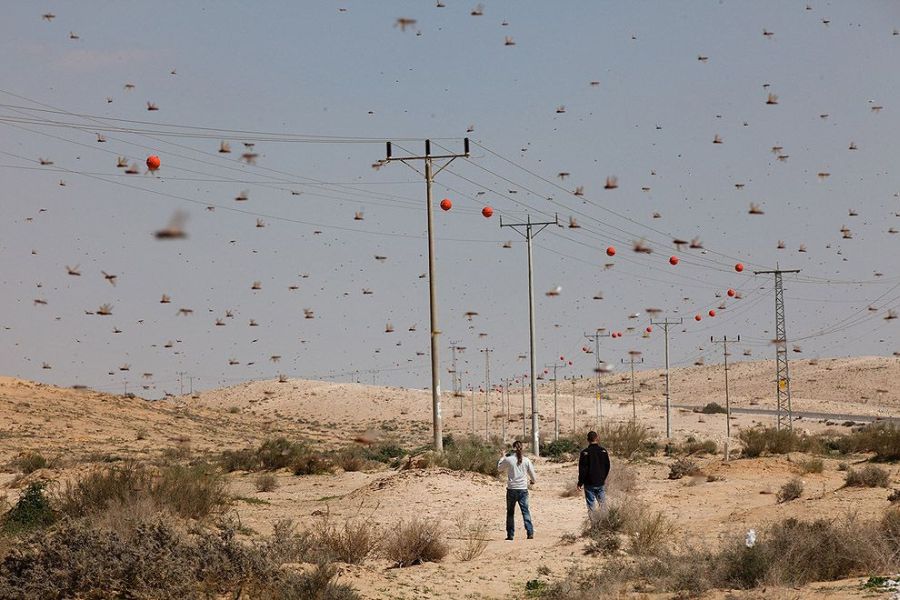 Лучшие фотографии 2013 года по версии агентства Getty Images