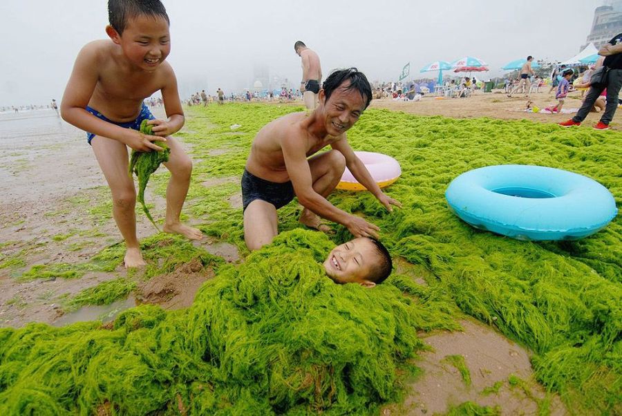 Лучшие фотографии 2013 года по версии агентства Getty Images