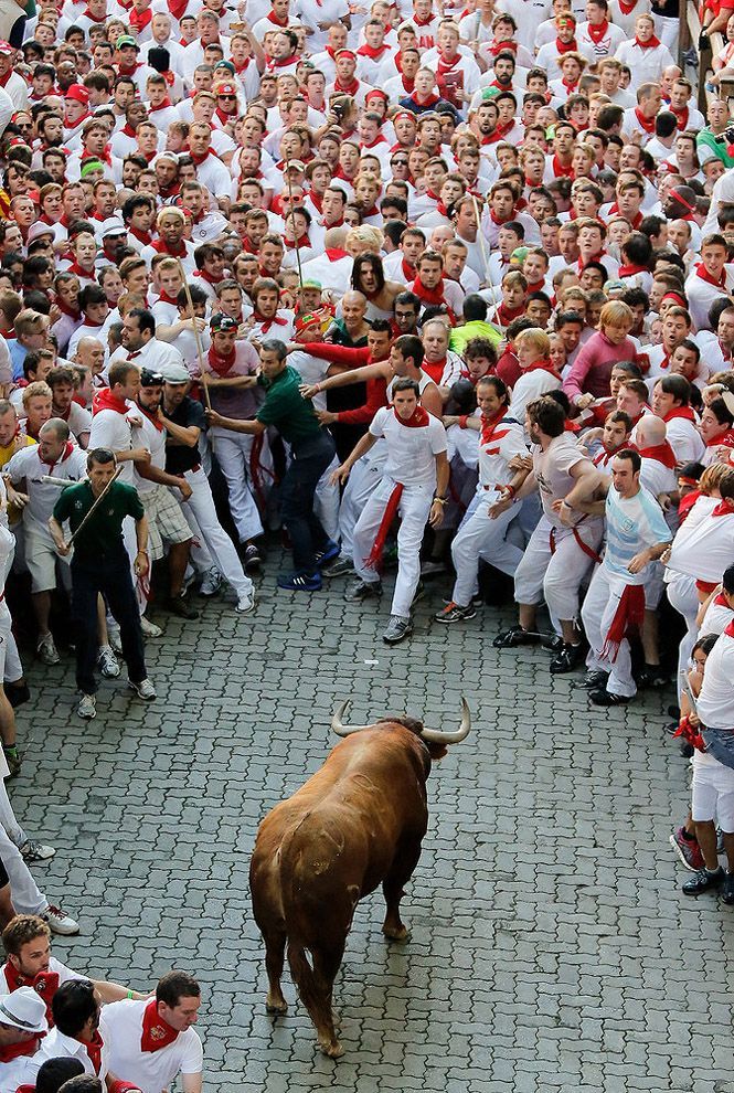 Лучшие фотографии 2013 года по версии агентства Getty Images