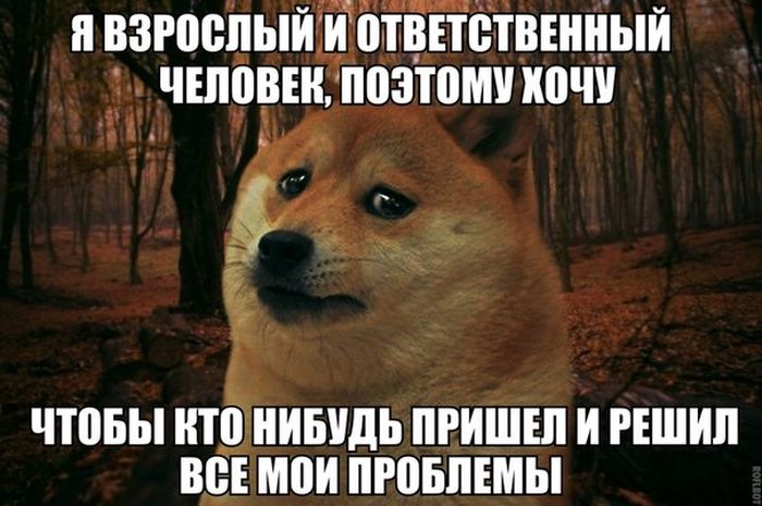 Прикольные картинки (82 фото)