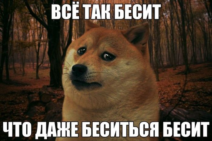 Прикольные картинки (82 фото)
