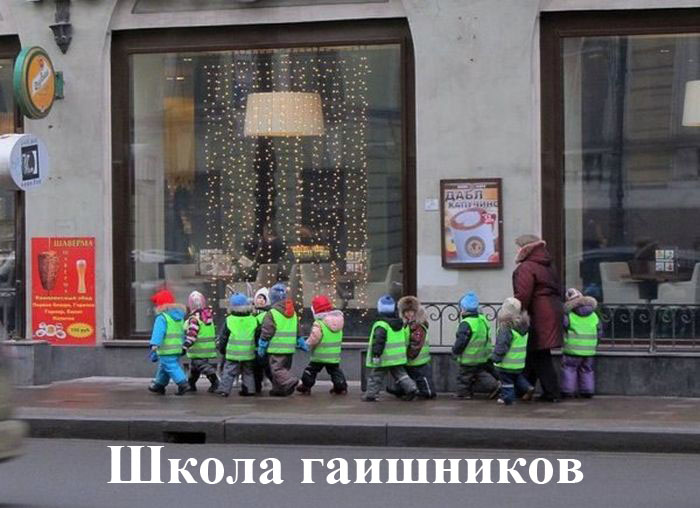 Прикольные картинки (82 фото)