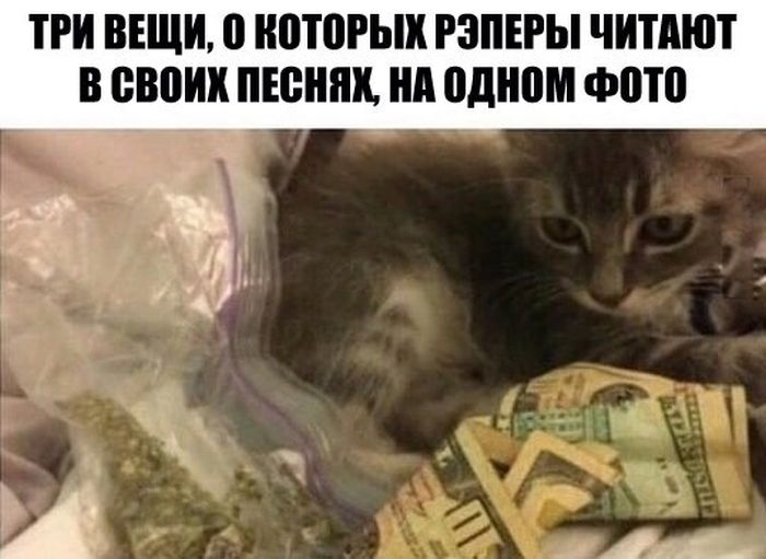 Прикольные картинки (82 фото)