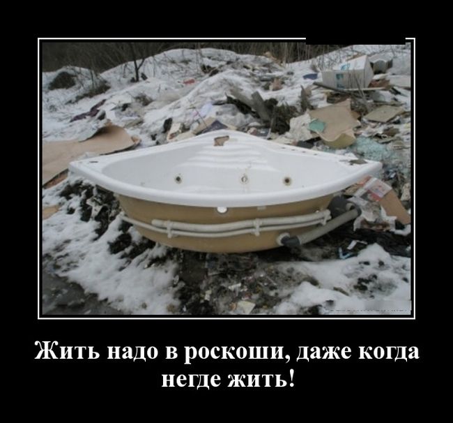 Демотиваторы