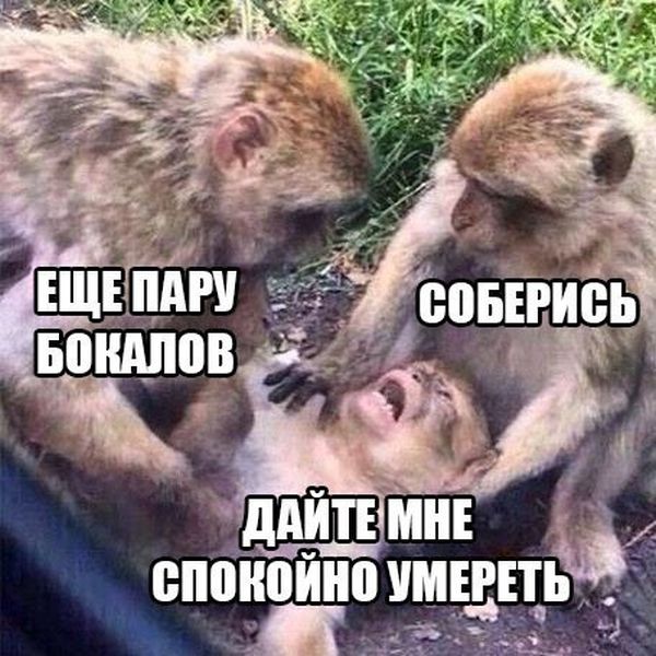 Прикольные картинки