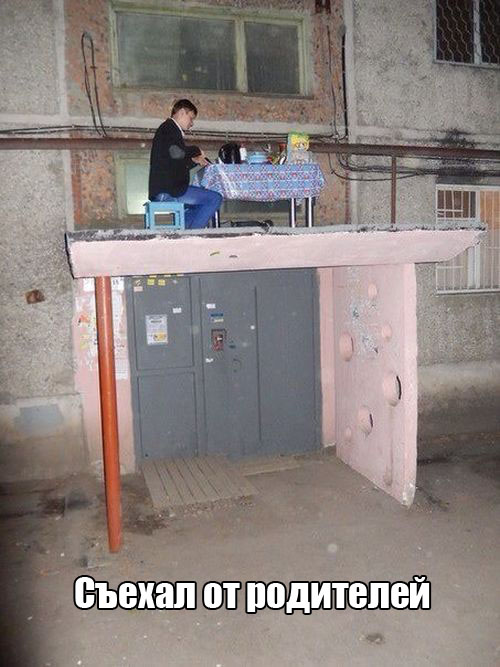 Прикольные картинки