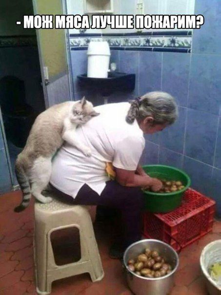 Прикольные картинки