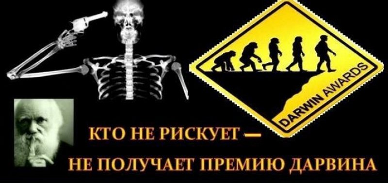 Незабываемые лауреаты премии Дарвина